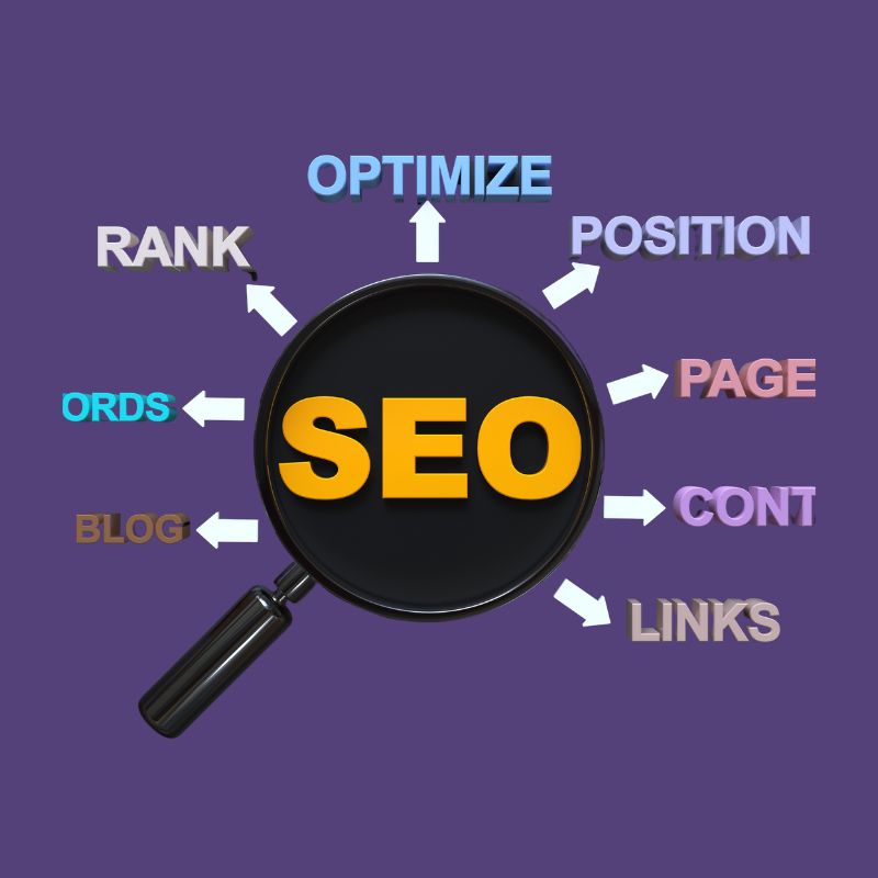 Search Engine Optimization ( SEO) Portfolio