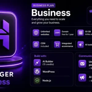 Buy Hostinger Business web hosting 1-year plan in Pakistan – Adii Digital
